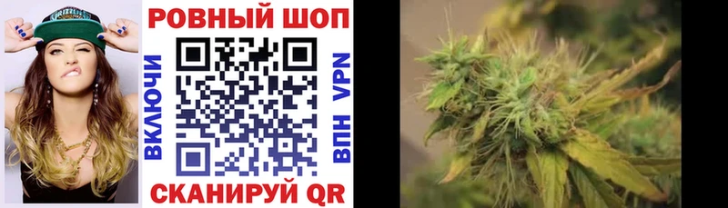 Хочу наркоту Избербаш Псилоцибиновые грибы  Кокаин  Гашиш  Мефедрон  Бошки Шишки  Alpha-PVP 