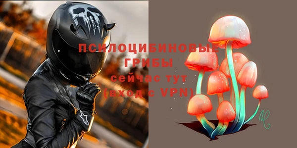 бошки Алексин