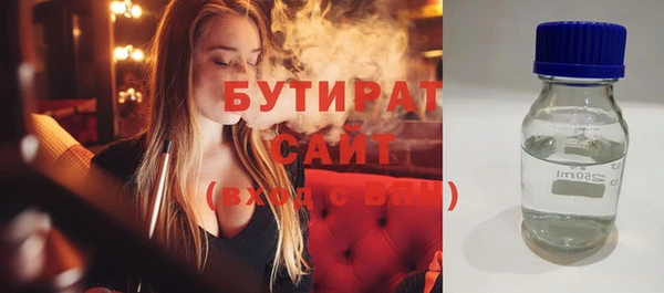 соль ск Ельня