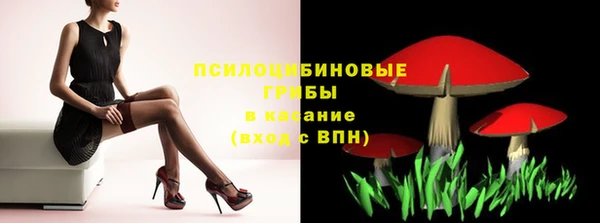 прущая мука Алзамай